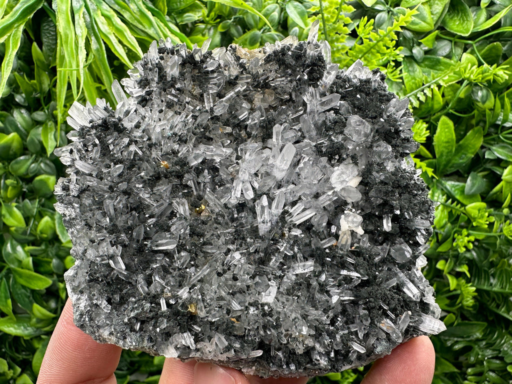 Pyrite on Quartz with Chlorite: Borieva Mine Crystal Decor