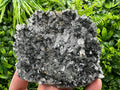 Pyrite on Quartz with Chlorite: Borieva Mine Crystal Decor