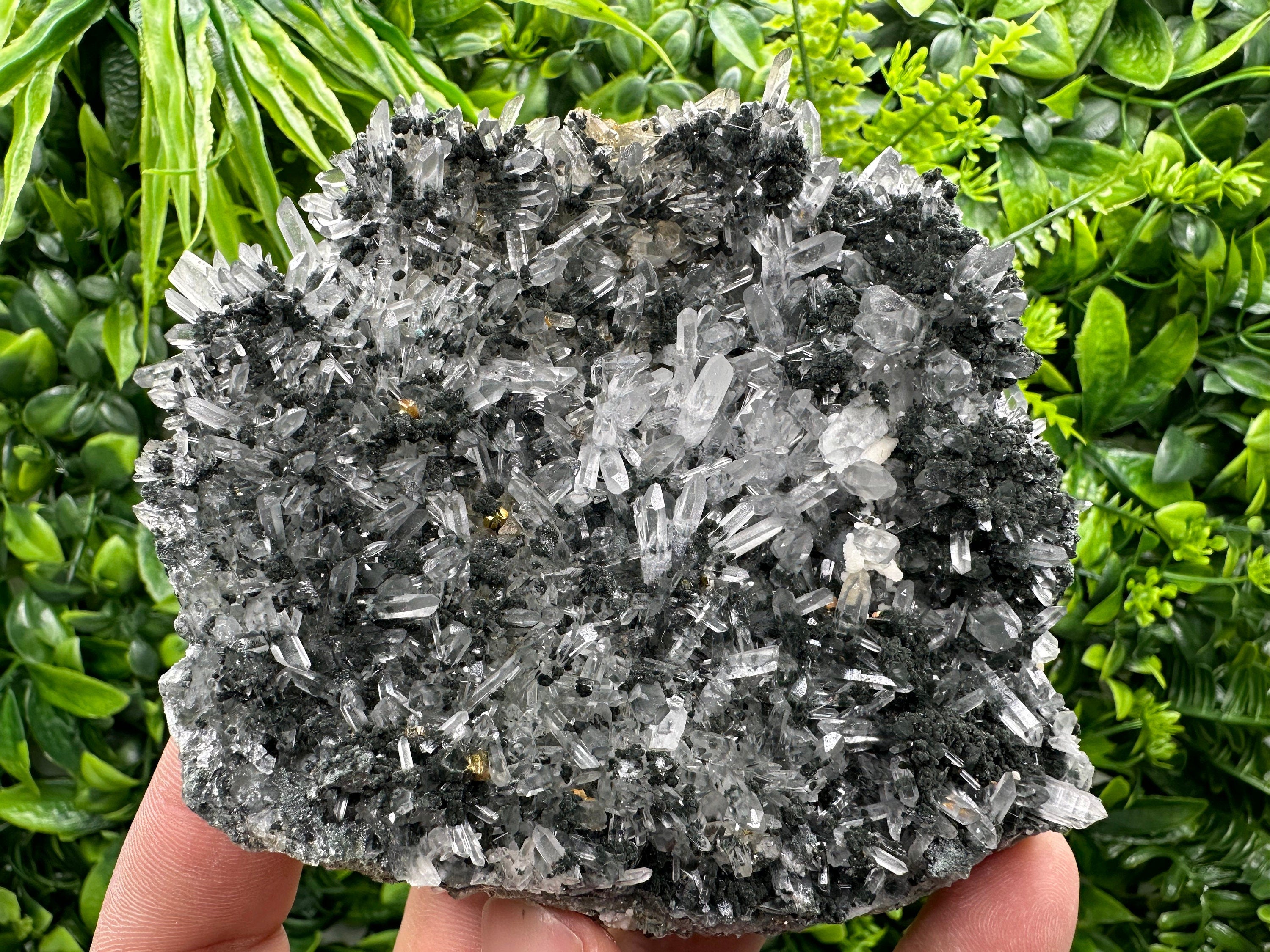 Pyrite on Quartz with Chlorite: Borieva Mine Crystal Decor