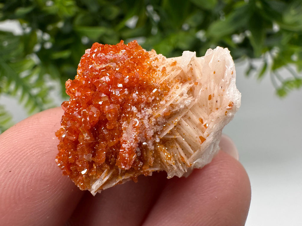 Red Vanadinite on Barite, Moroccan Crystal Specimen