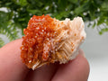 Red Vanadinite on Barite, Moroccan Crystal Specimen
