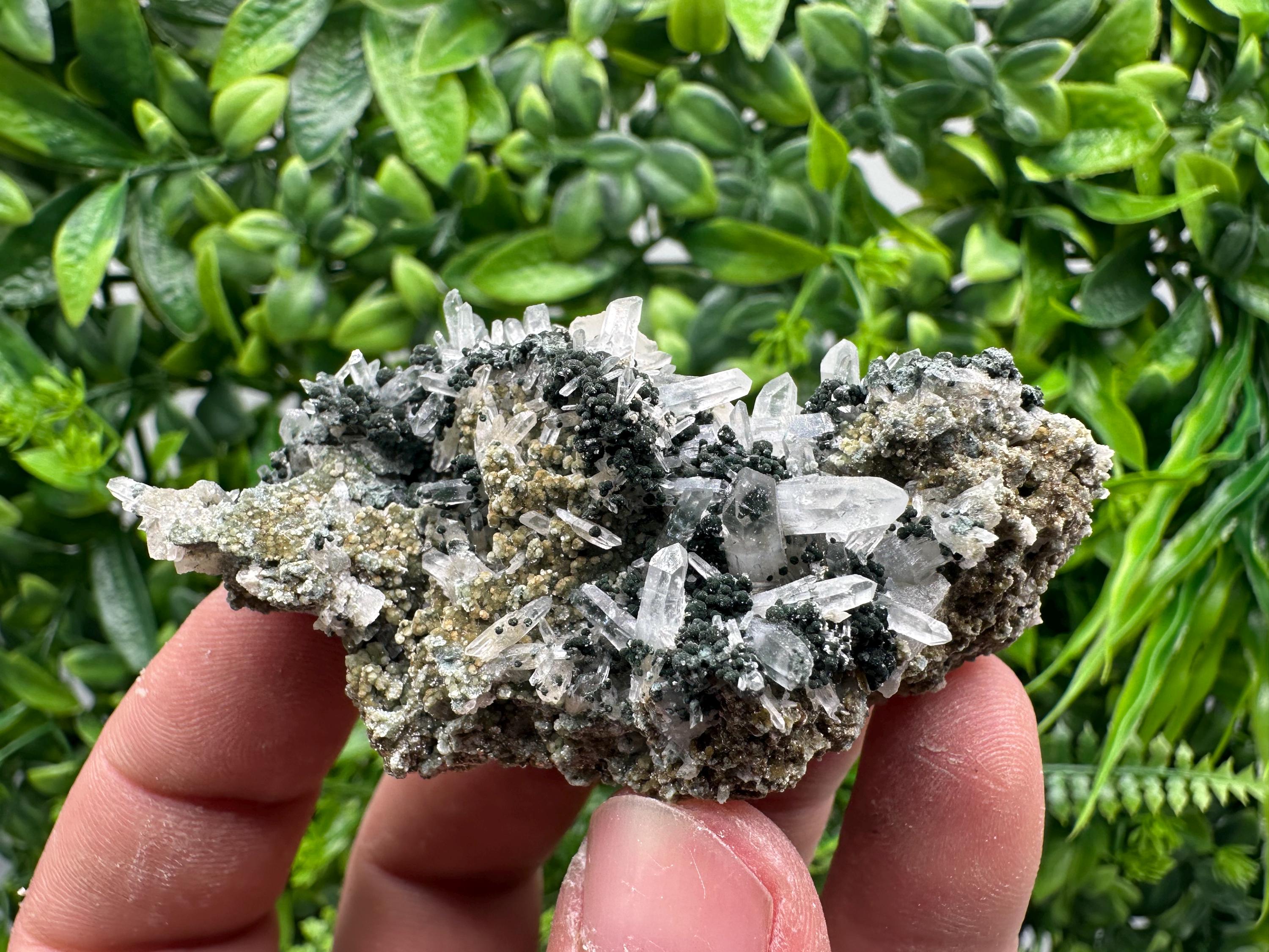 Transparent Quartz on Chlorite Matrix, Bulgaria Mineral Specimen