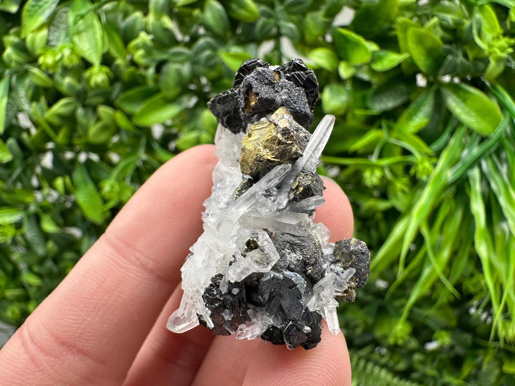 Wonderful Sphalerite Chalcopyrite on  Quartz whit Galena feom 9 th September mine,Bulgaria,natural,collection mineral specimen,gift