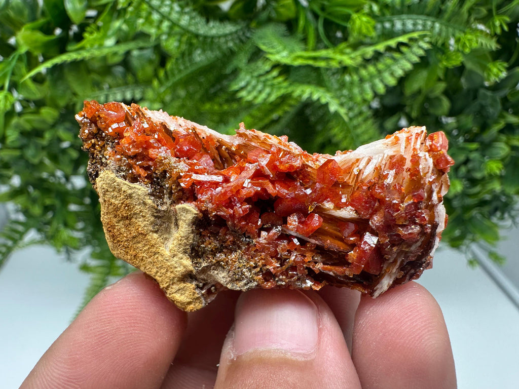 Red Vanadinite on Barite from Marocco,crystal minerals Speciment cluster Vanadinite crystal Vanadinite Geology Vanadinite cluster minerals
