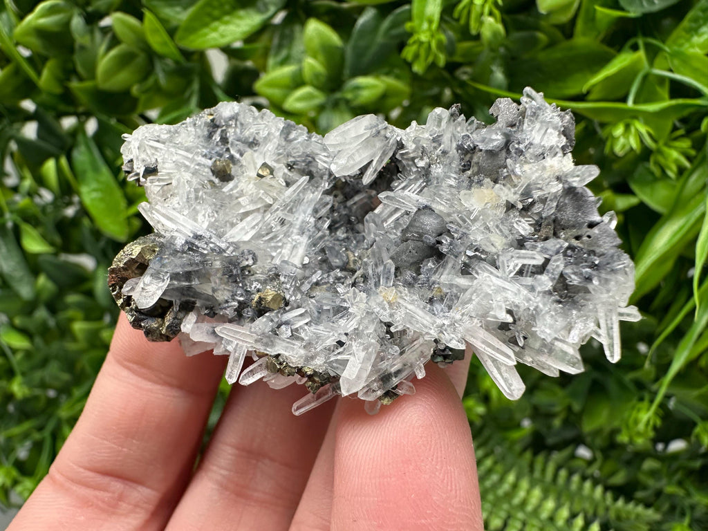 Wonderful Sphalerite Chalcopyrite on  Quartz whit Galena feom 9 th September mine,Bulgaria,natural,collection mineral specimen,gift