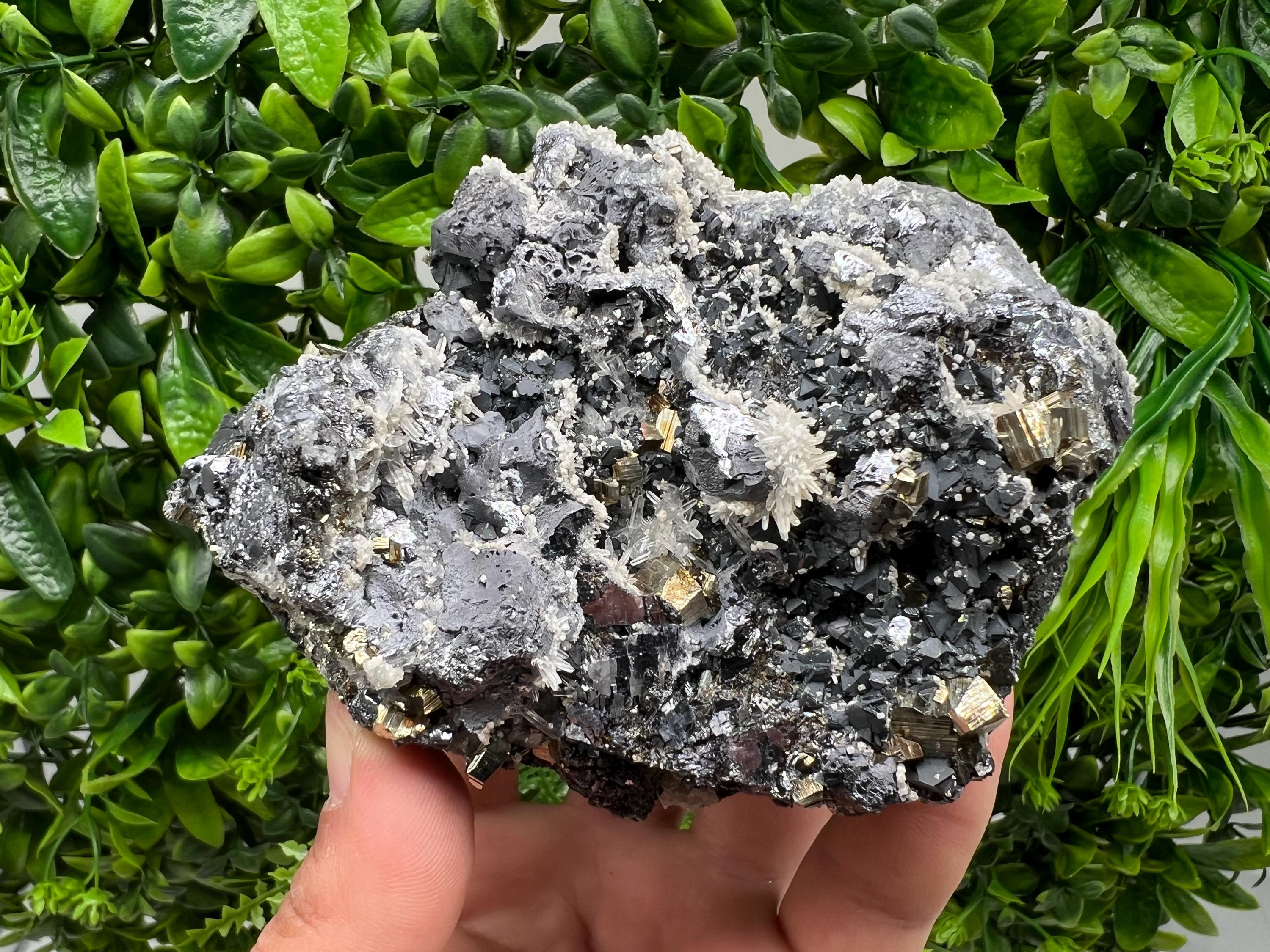 Galena Sphalerite Quartz Pyrite Mineral Specimen: Madan Bulgaria Rare Crystal