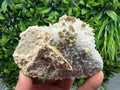 Sphalerite Cleiophane on Quartz, Krushev Dol Mine, Bulgaria