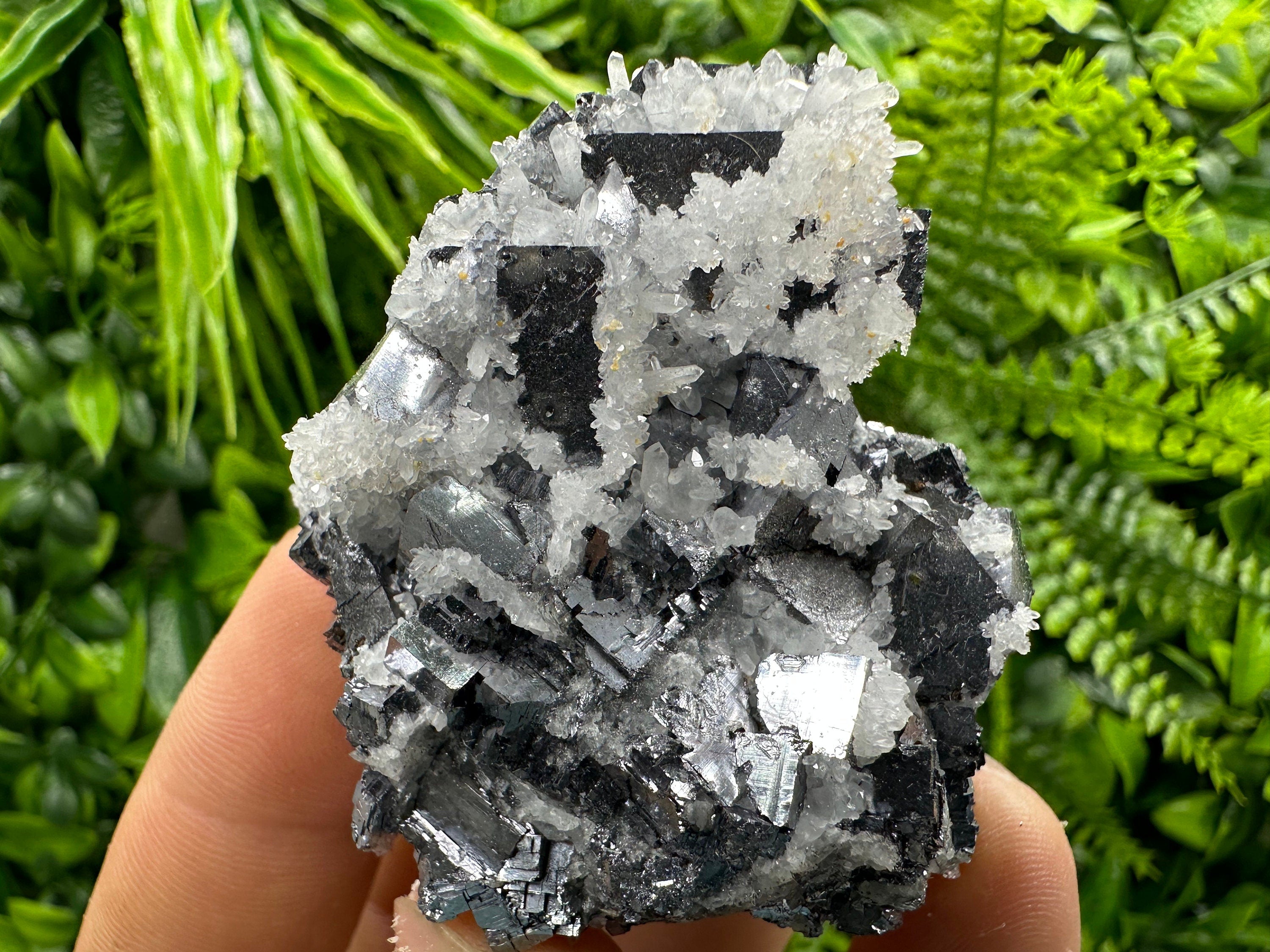 Galena with Quartz Crystal: Natural Mineral Specimen, Bulgaria