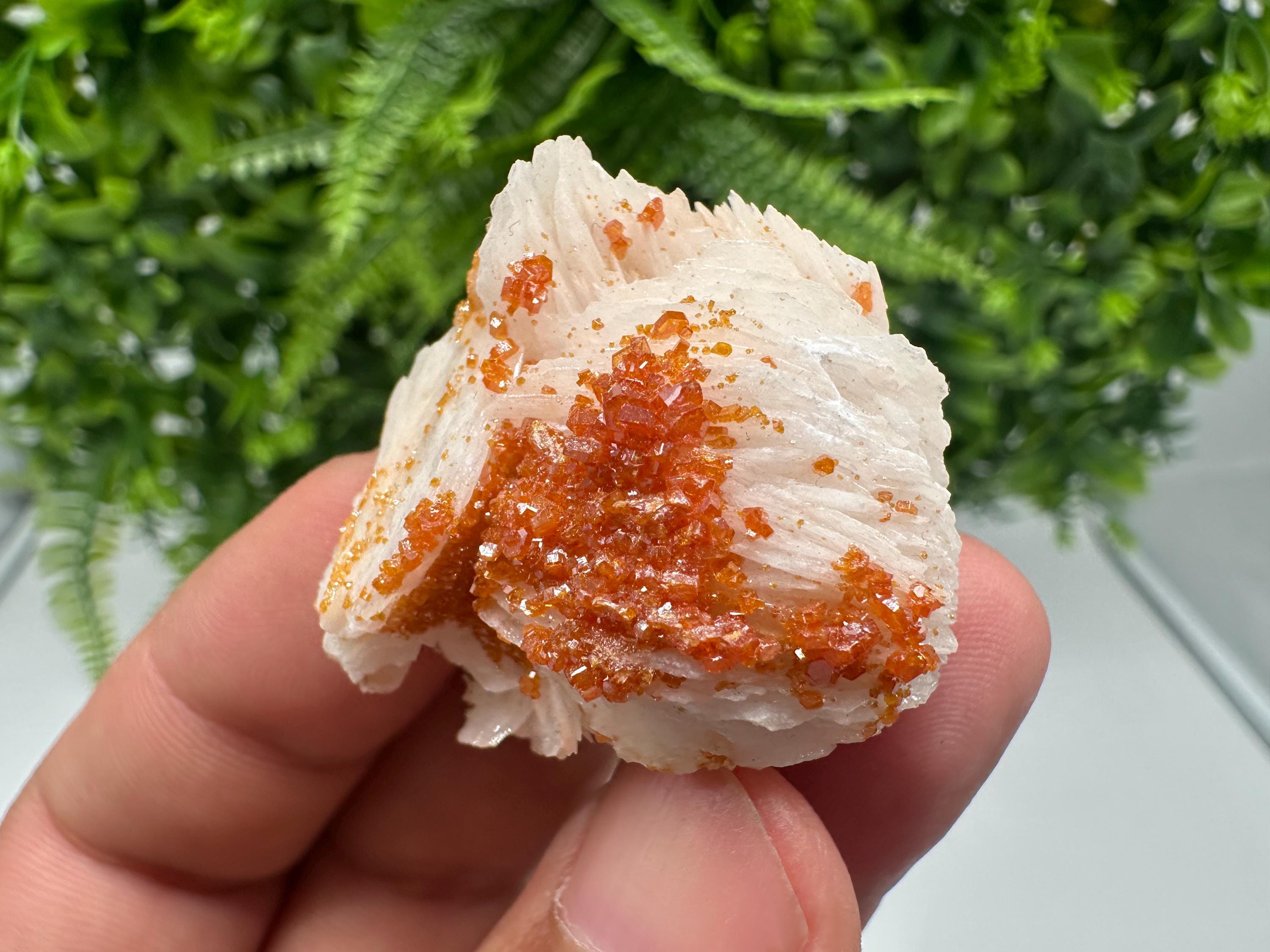 Red Vanadinite on Barite from Marocco,crystal minerals Speciment cluster Vanadinite crystal Vanadinite Geology Vanadinite cluster minerals