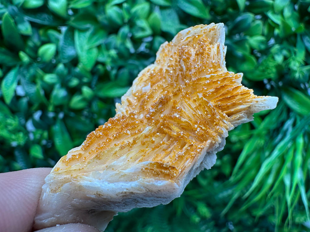 Red Vanadinite on Barite, Morocco Crystal Specimen