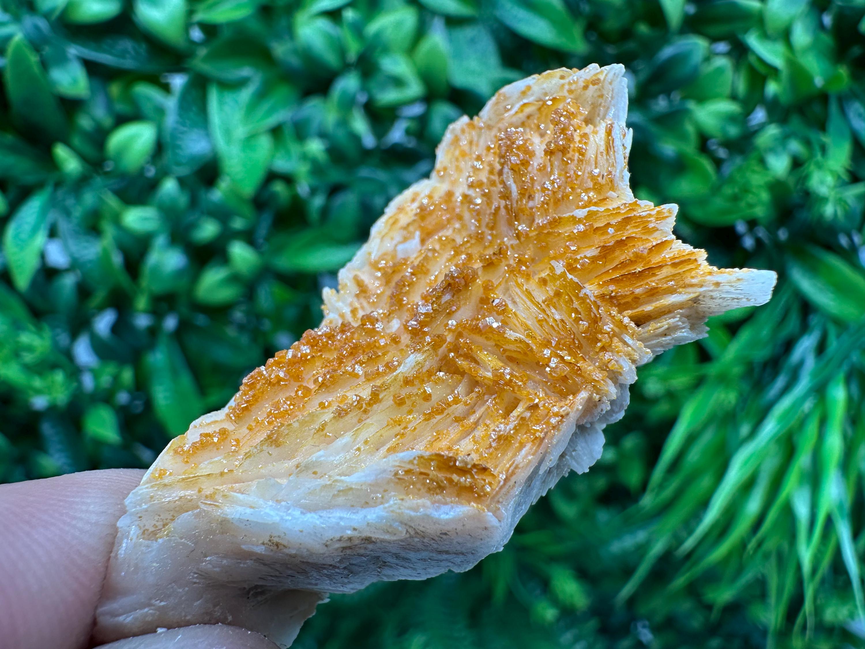 Red Vanadinite on Barite, Morocco Crystal Specimen