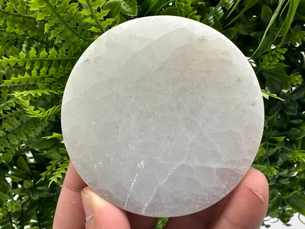 Tree of Life Selenite Plate: Crystal Recharging Station (8/8cm)