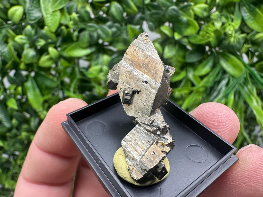 Rare Crystallized Pyrite Cluster - Borieva Mine, Bulgaria