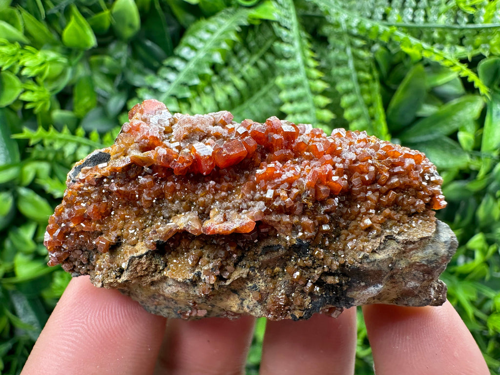 Red Vanadinite Crystal Cluster on Matrix, Morocco Mineral Specimen