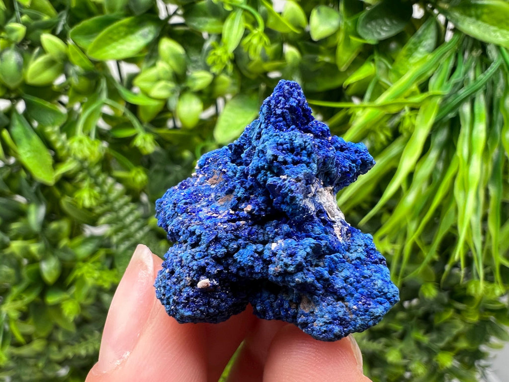 Crystallized Azurite-Kerrouchen,Morocco-Blue Azurite Specimen-High Quality Blue Azurite-Azurite Mineral Specimen, gemmy,lustrous of Azurite