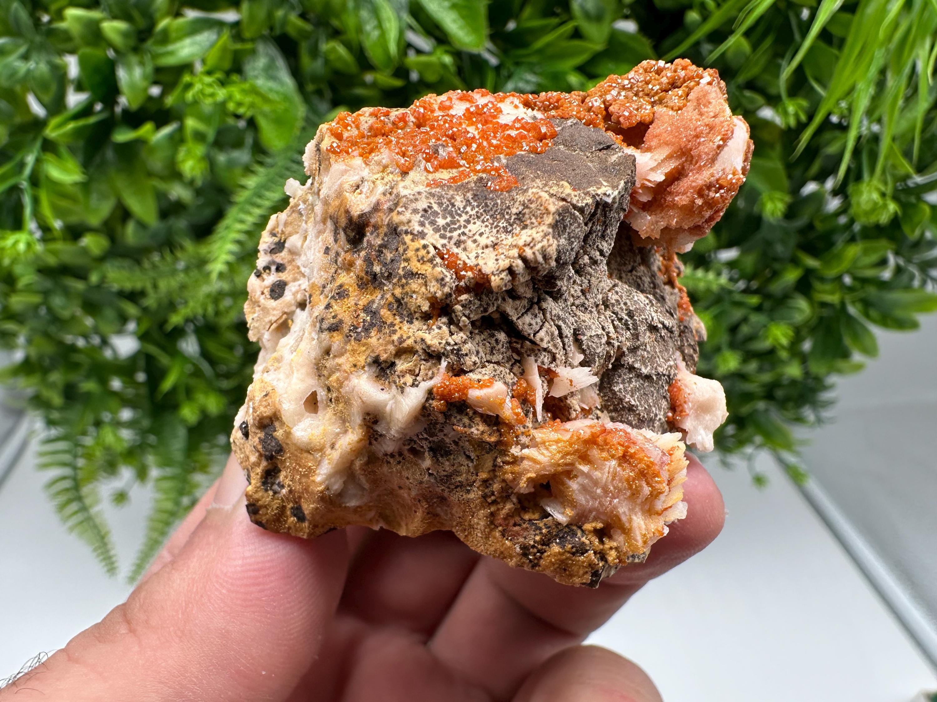 Red Vanadinite on Barite from Marocco,crystal minerals Speciment cluster Vanadinite crystal Vanadinite Geology Vanadinite cluster minerals