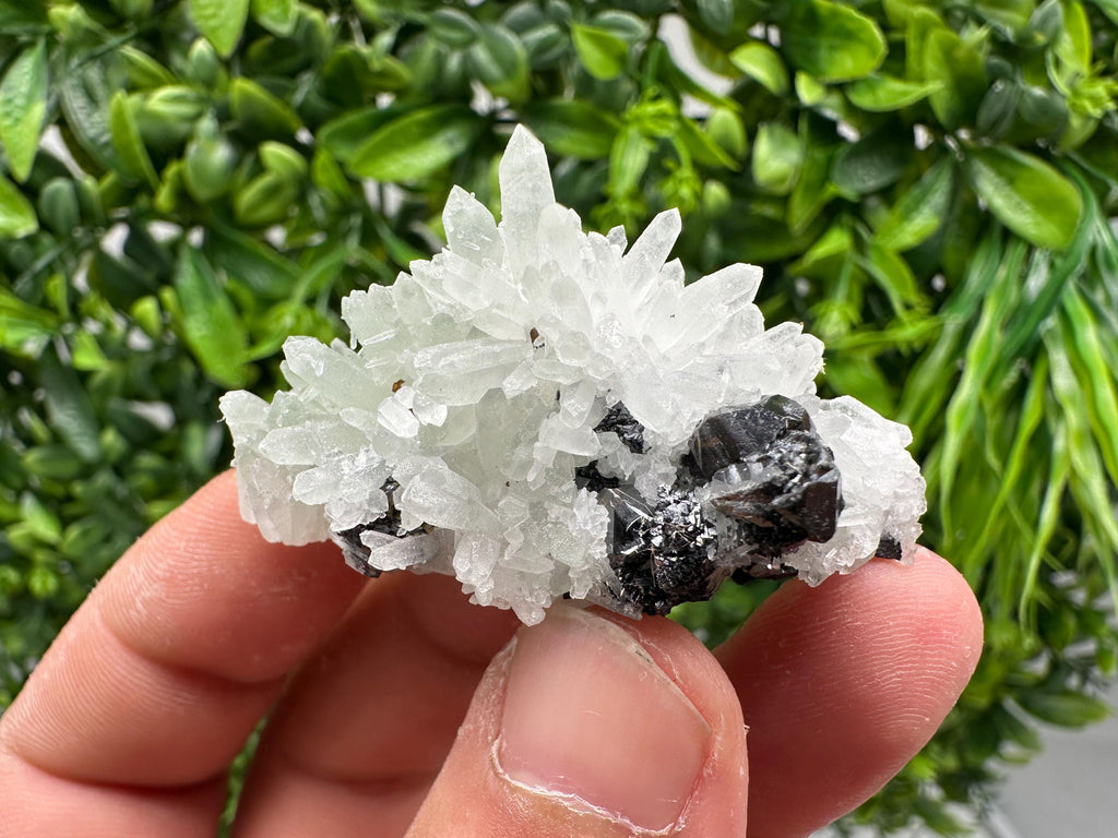 Sphalerite on Quartz, Bulgaria Mineral Specimen, Home Decor Crystal