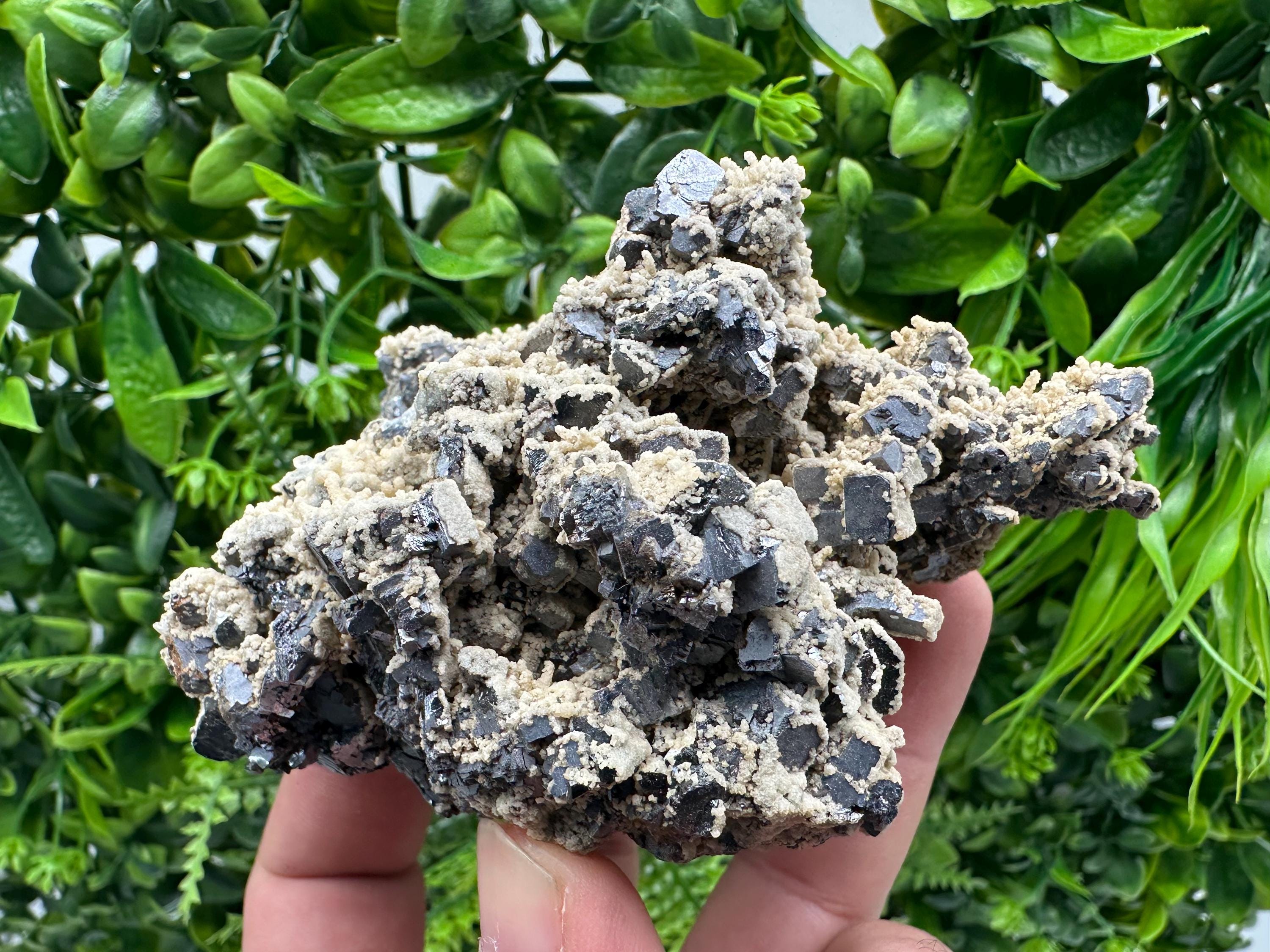 Galena Dolomite Cluster, Krushev dol Bulgaria Mineral Specimen