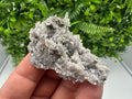 Pyrite on Green Quartz Mineral Specimen, Borieva Mine Bulgaria