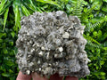 Golden Pyrite on Quartz, Borieva Mine, Bulgaria
