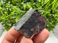 Shiny Galena Cluster, Borieva Mine, Madan Bulgaria
