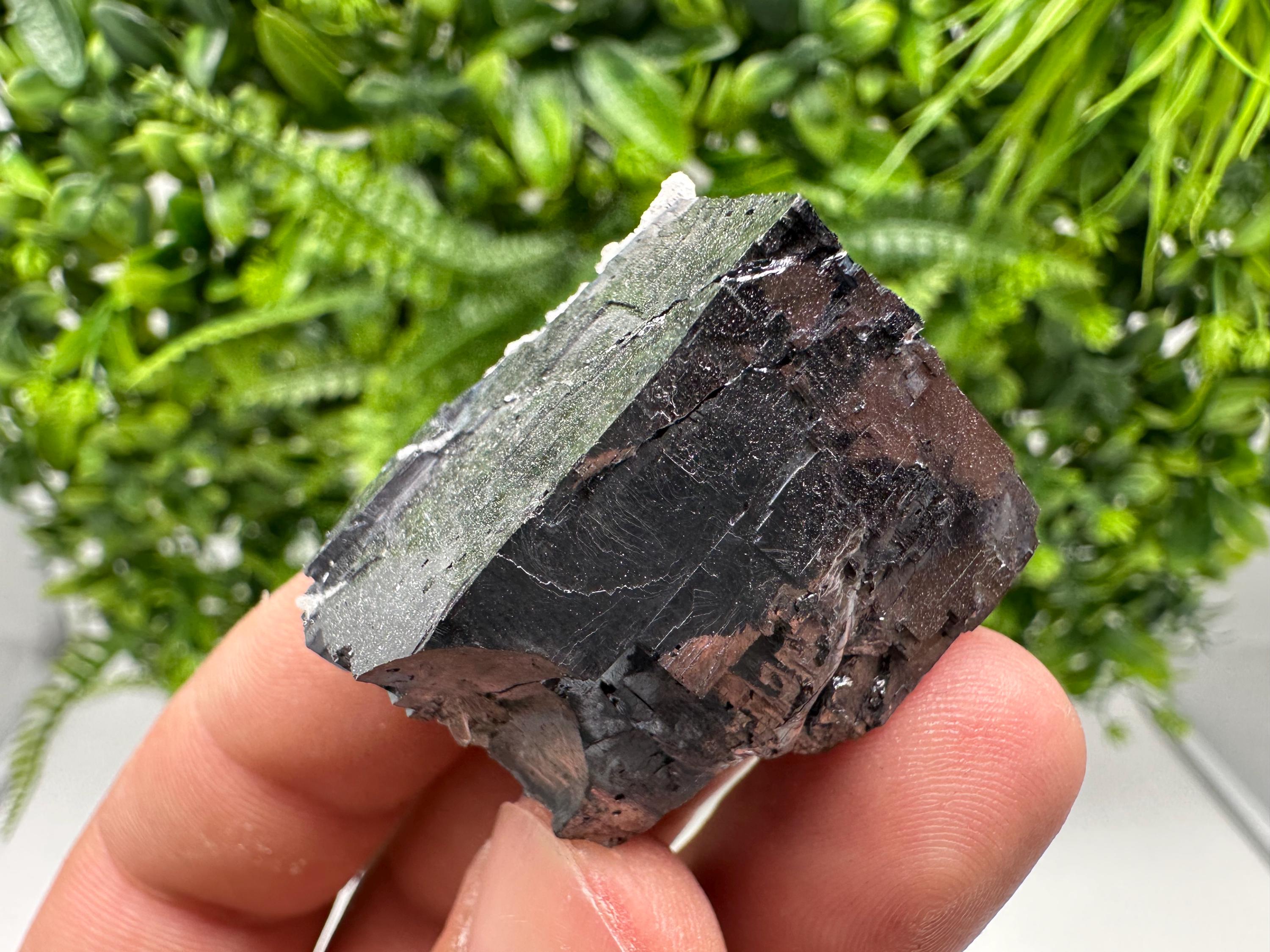 Shiny Galena Cluster, Borieva Mine, Madan Bulgaria