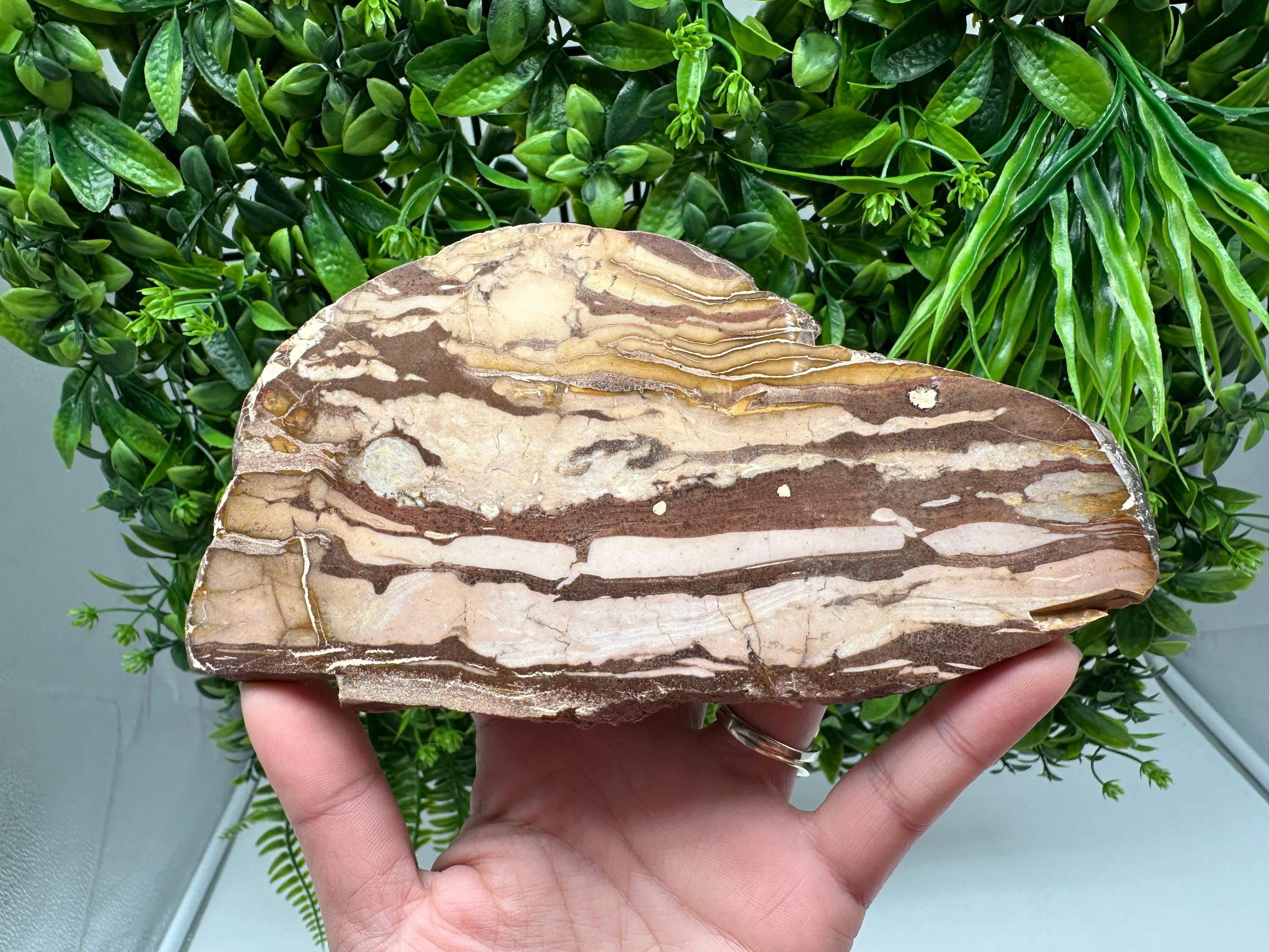 Landscape Jasper Slab – Polished Stone Slice, Natural Scenic Mineral Display