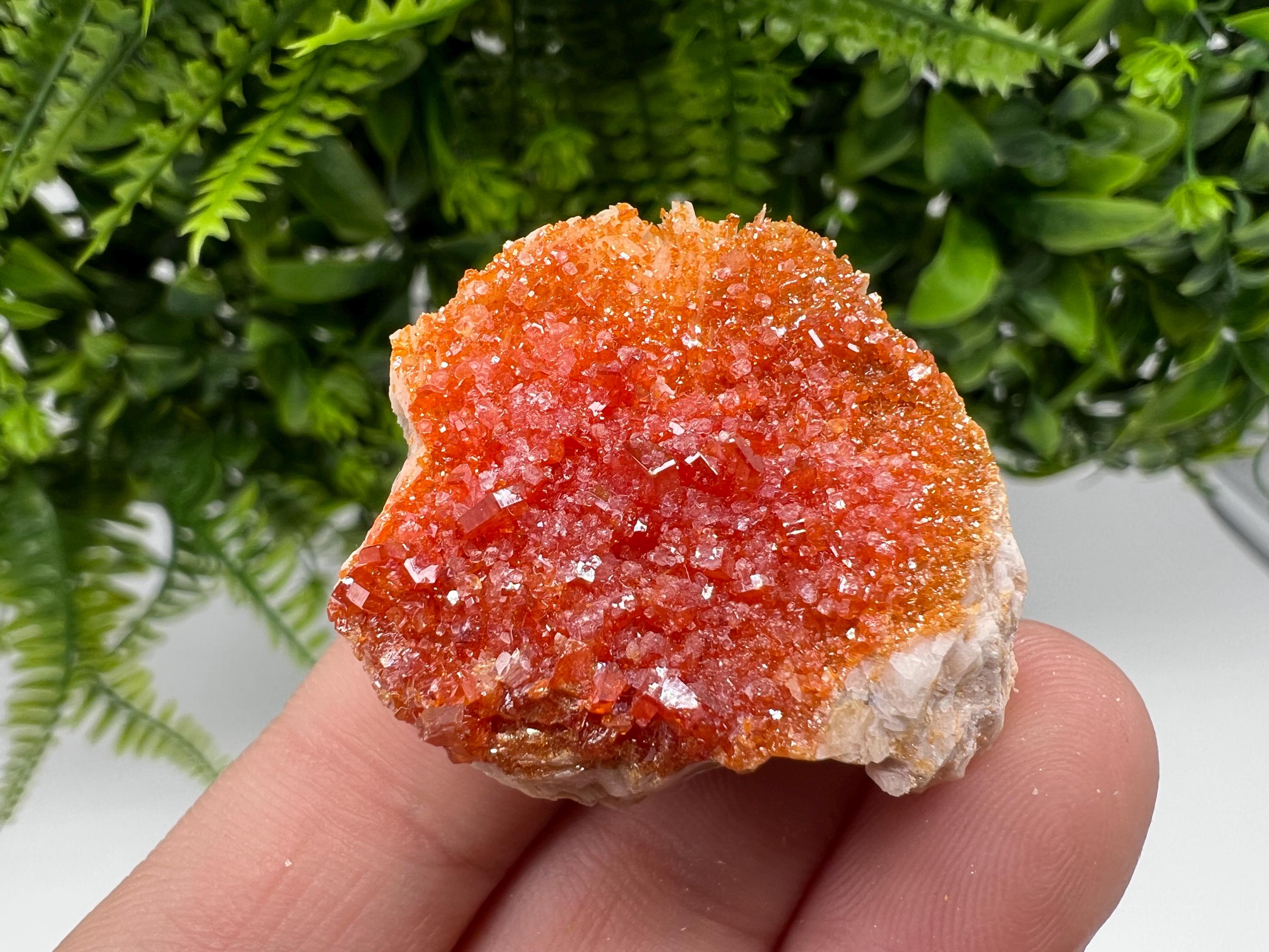 Red Vanadinite Crystal Cluster on Barite, Morocco Mineral Specimen