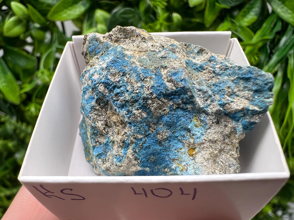 Rare Raw Aerinite Mineral Specimen: Lleida, Spain Crystal (4/3.5cm