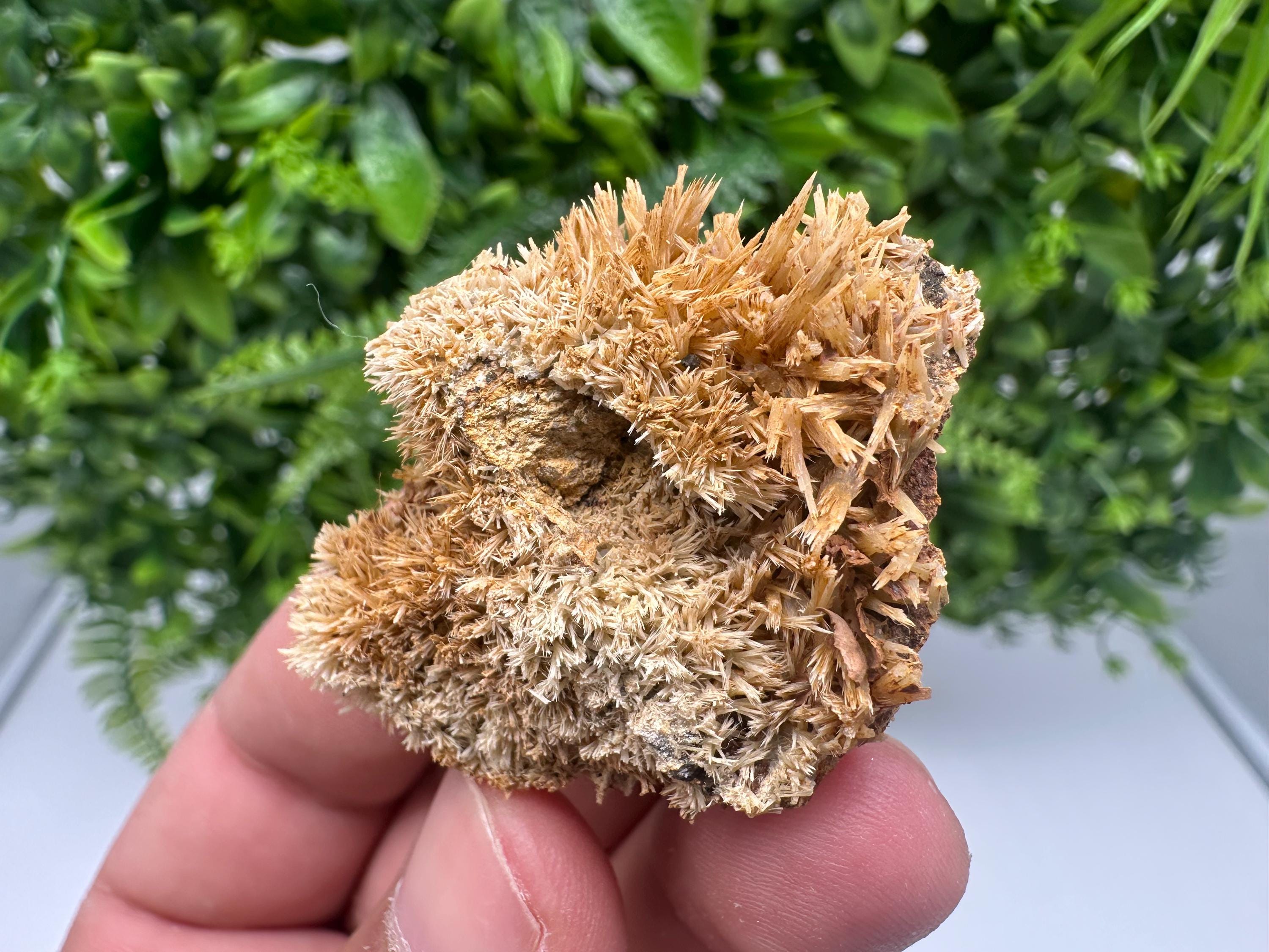 Rare Green/Yellow Pyromorphite with Hematite on Quartz - Madjarovo Mine, Bulgaria