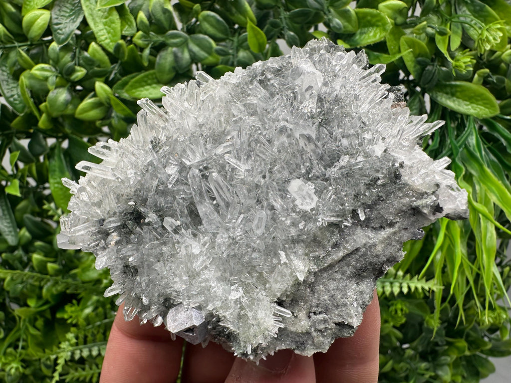 Quartz Crystal with Galena, Chlorite Matrix Mineral Specimen
