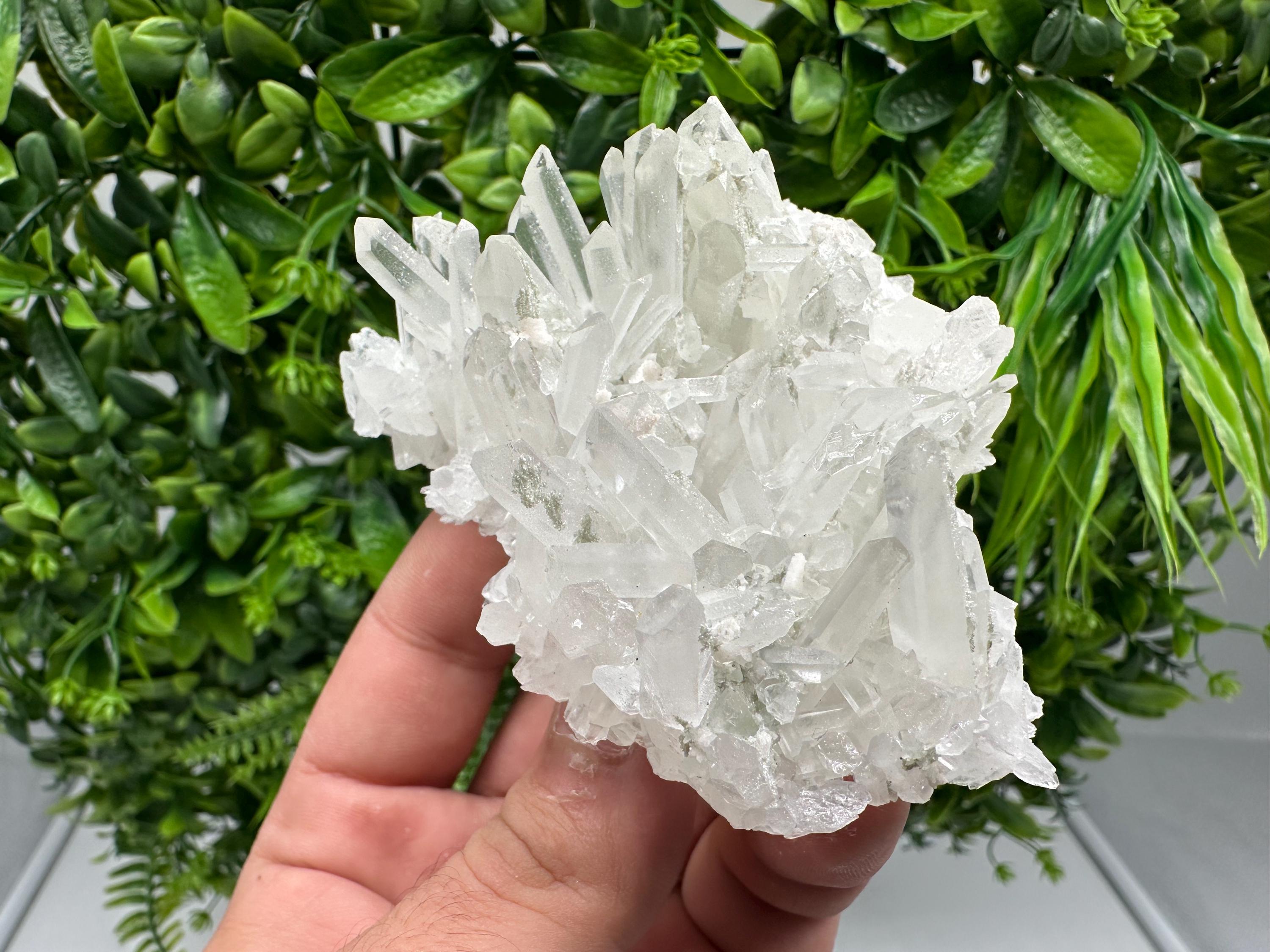 Transparent Quartz Crystal: Djurcovo Mine, Bulgaria