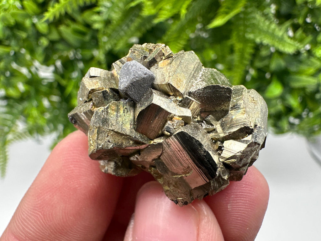 Rare crystallisation Pyrite,Borieva mine,Bulgaria,floating Pyrite,golden Pyrite,Pyrite cluster,mini Collection specimen,Rainbow Pyrite