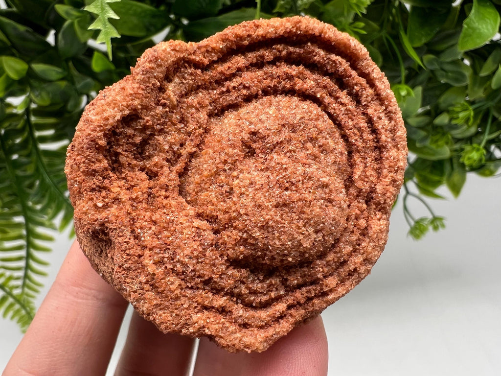 Moroccan Stromatolite Fossil Specimen, Grounding Meditation Stone