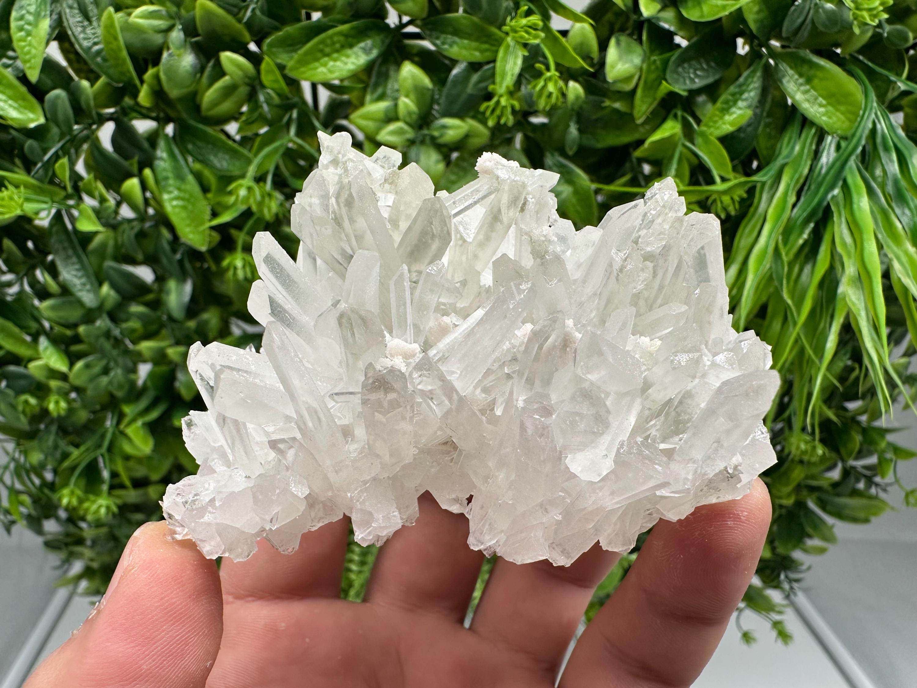 Transparent Quartz Crystal: Djurcovo Mine, Bulgaria
