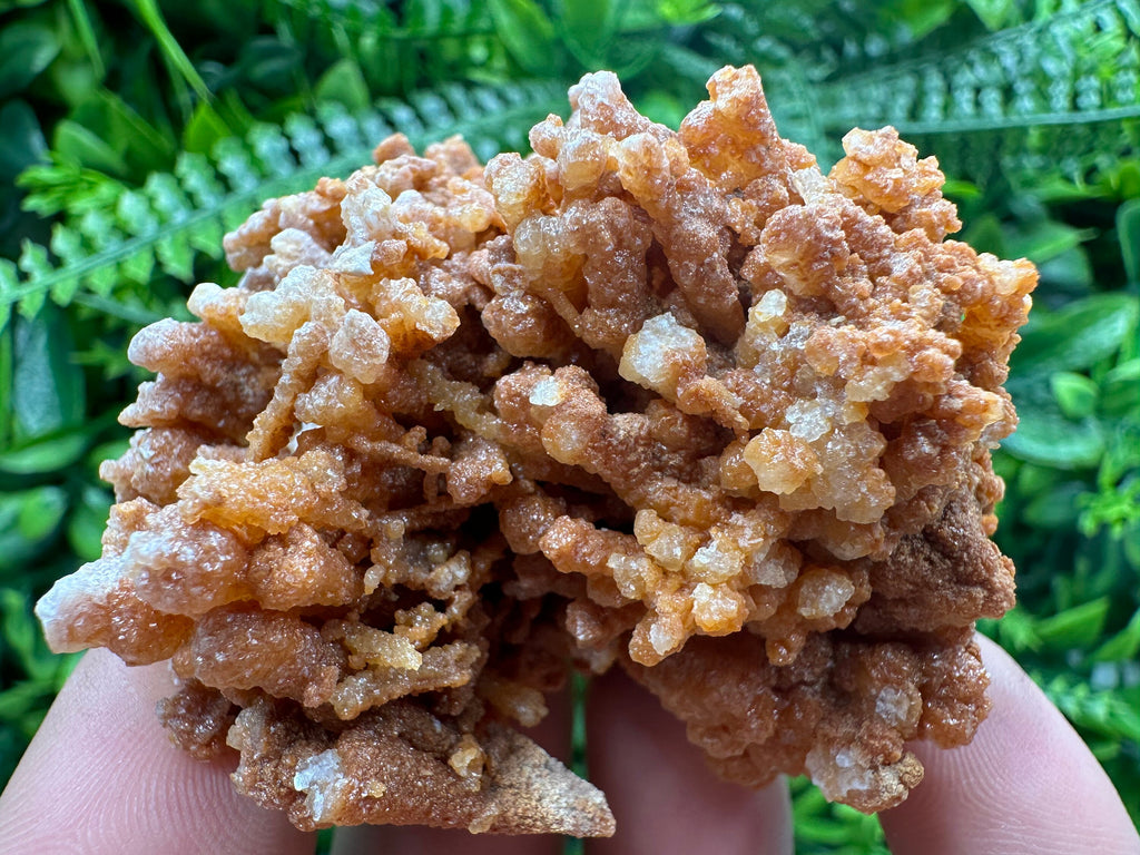 Dimitrovgrad Aragonite Cluster, Bulgaria Mineral Specimen