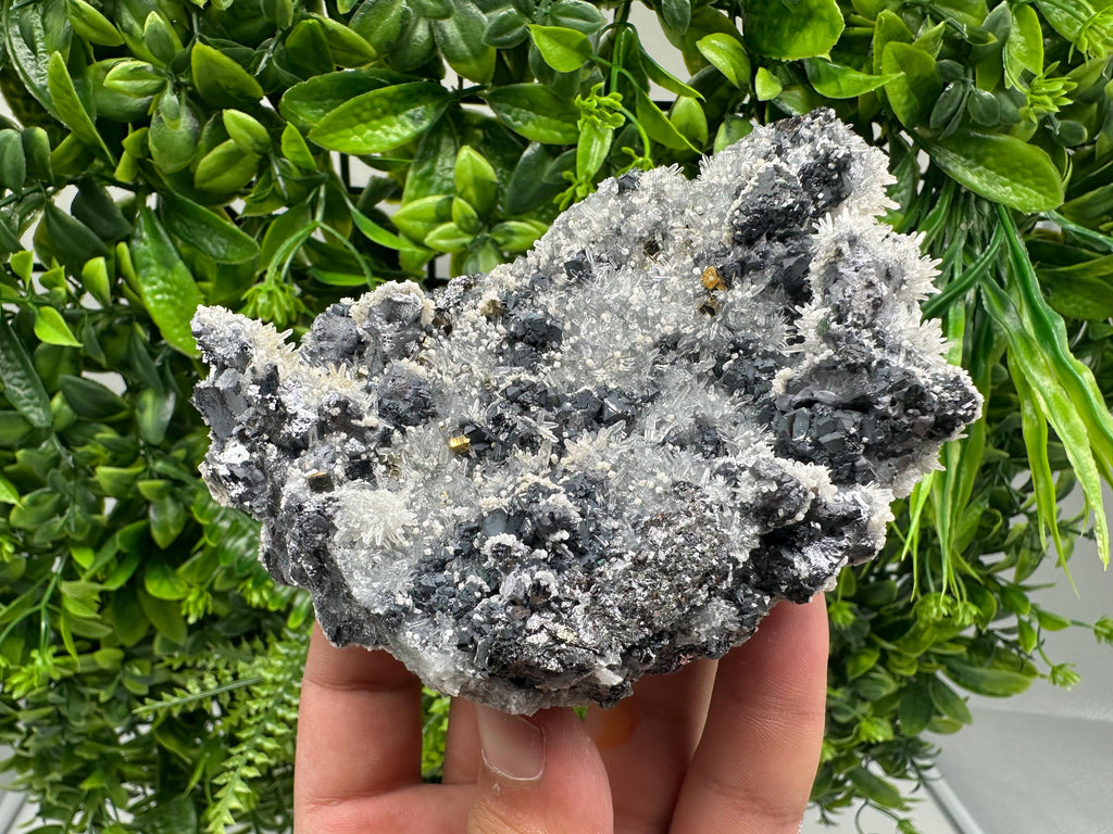 Galena Quartz Pyrite Mineral Specimen: Krushev Dol Mine, Bulgaria