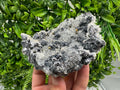 Galena Quartz Pyrite Mineral Specimen: Krushev Dol Mine, Bulgaria