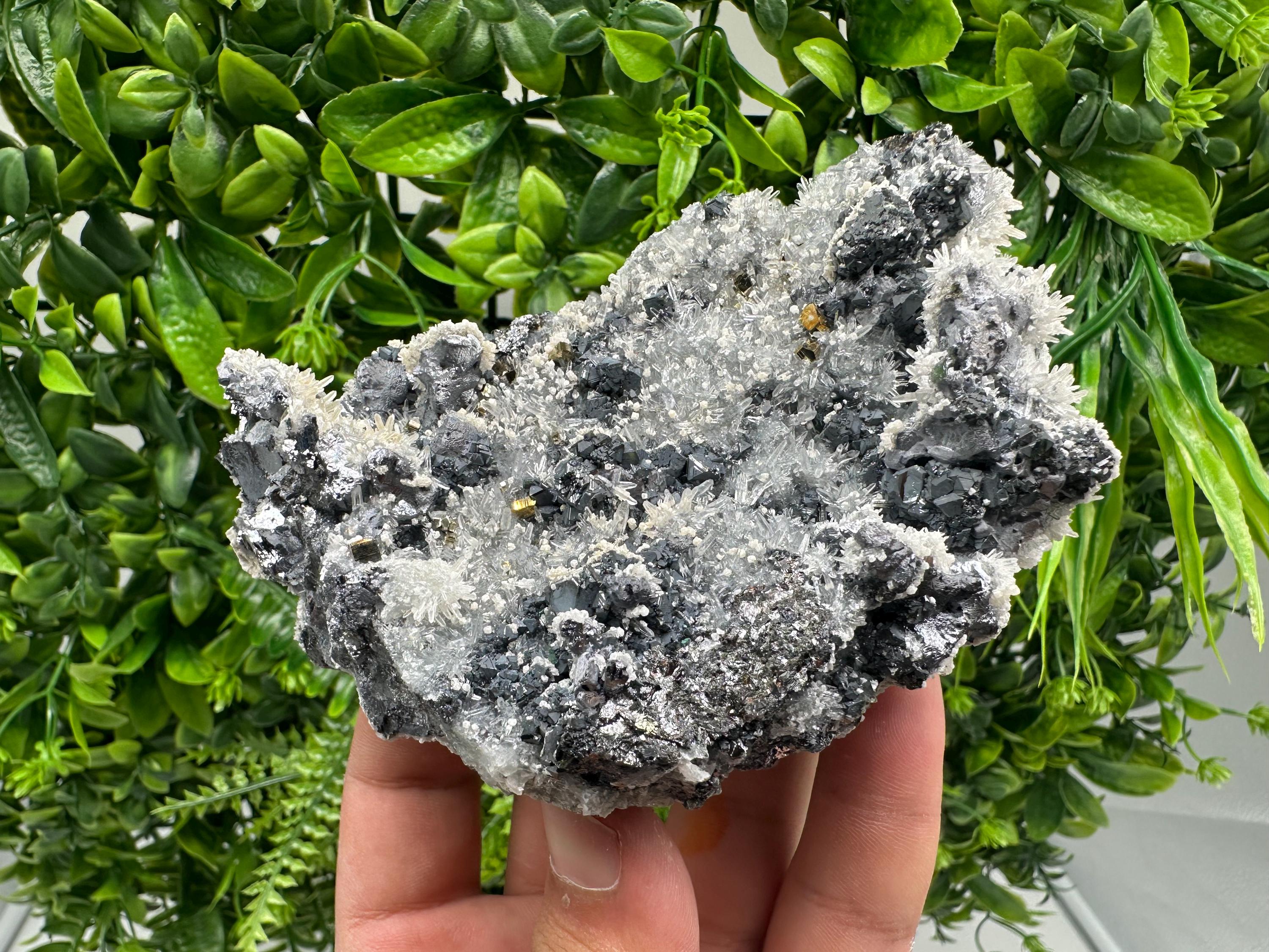Galena Quartz Pyrite Mineral Specimen: Krushev Dol Mine, Bulgaria