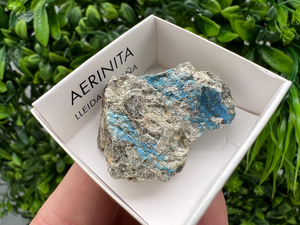 Rare Raw Aerinite Mineral Specimen: Collection Crystal from Lleida, Spain (3.5/3 CM)