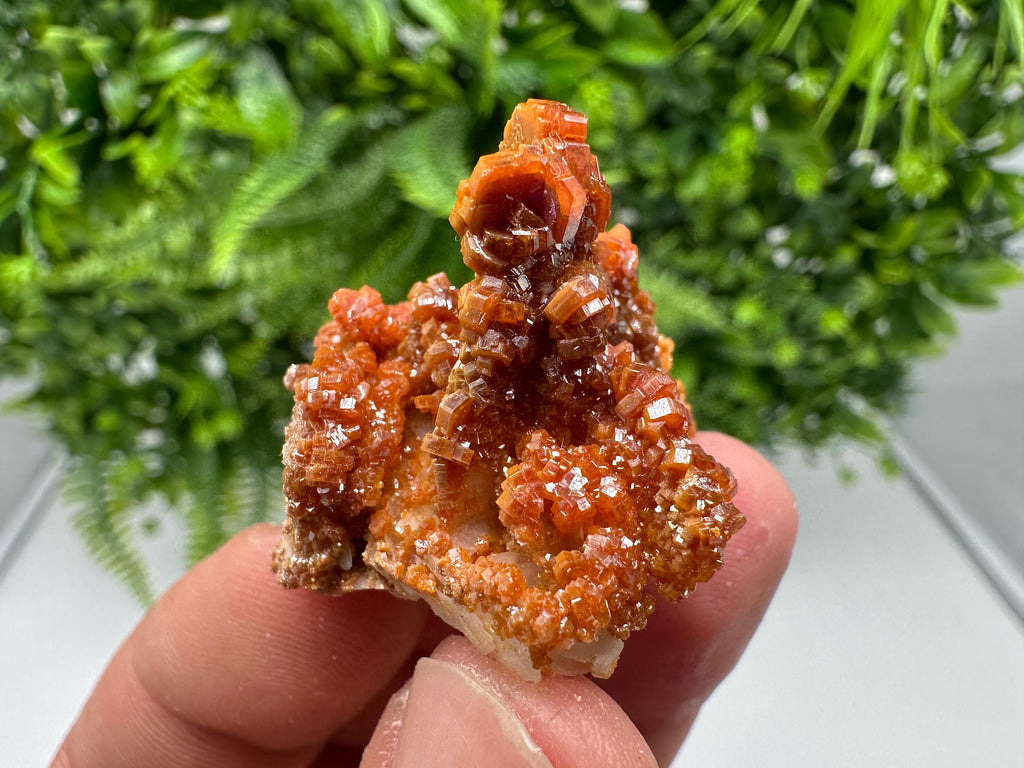 Red Vanadinite on Barite from Marocco,crystal minerals Speciment cluster Vanadinite crystal Vanadinite Geology Vanadinite cluster minerals