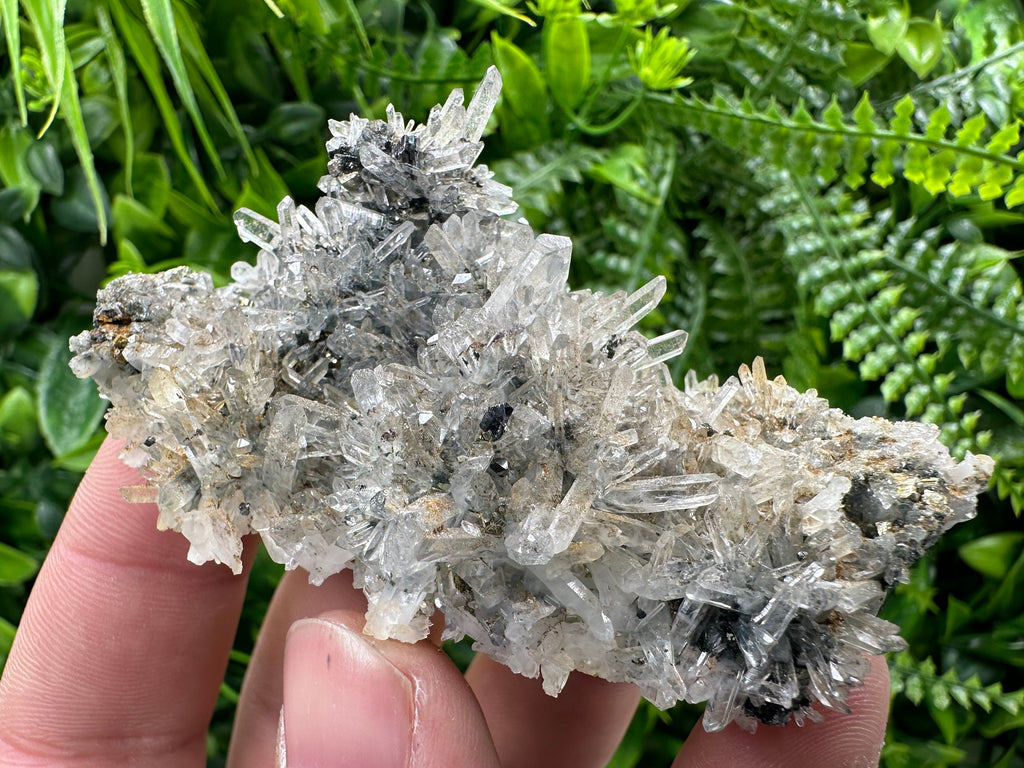 Pyrite Sphalerite on Quartz, Borieva Mine, Bulgaria (8/6/3 cm)