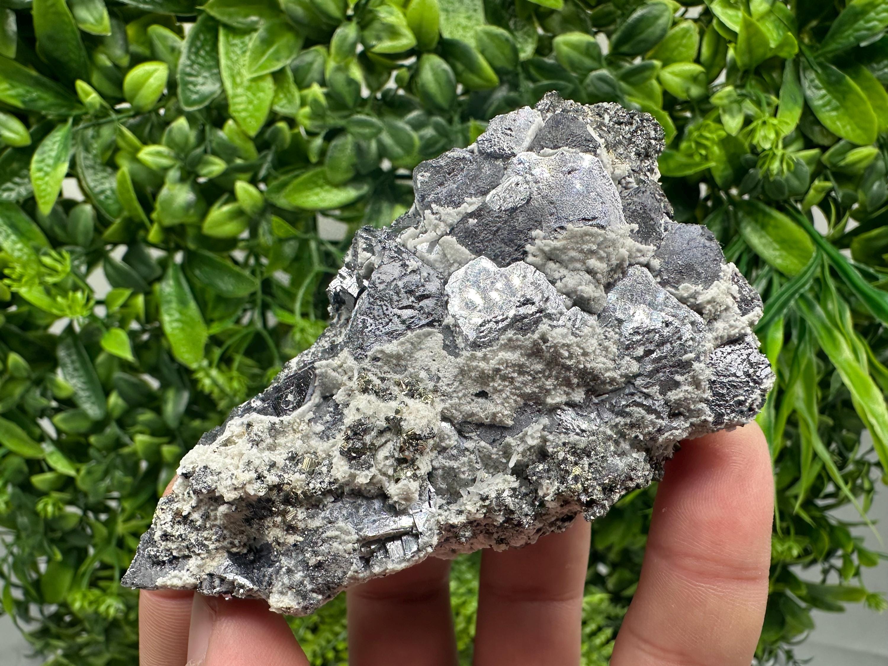 Galena with Quartz Specimen: Krushev Dol Mine, Bulgaria