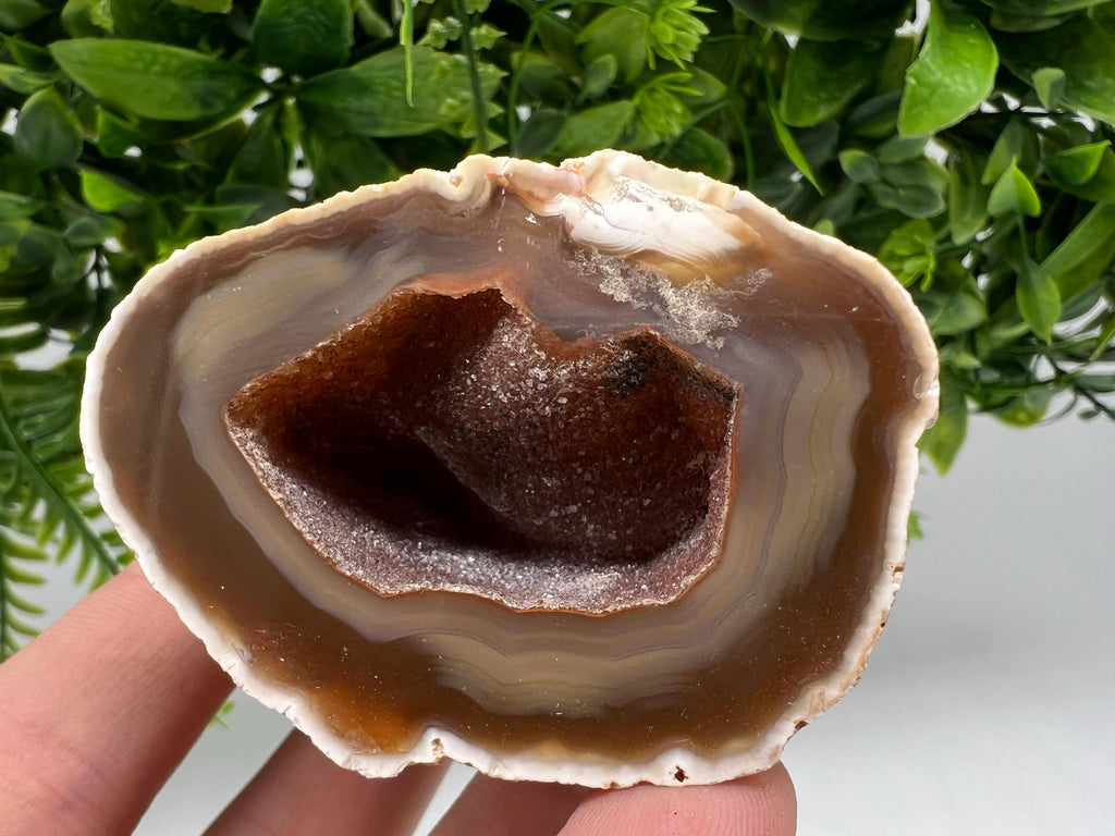 Natural Agate Druzy Geode, Brown and White Crystal, 141 grams