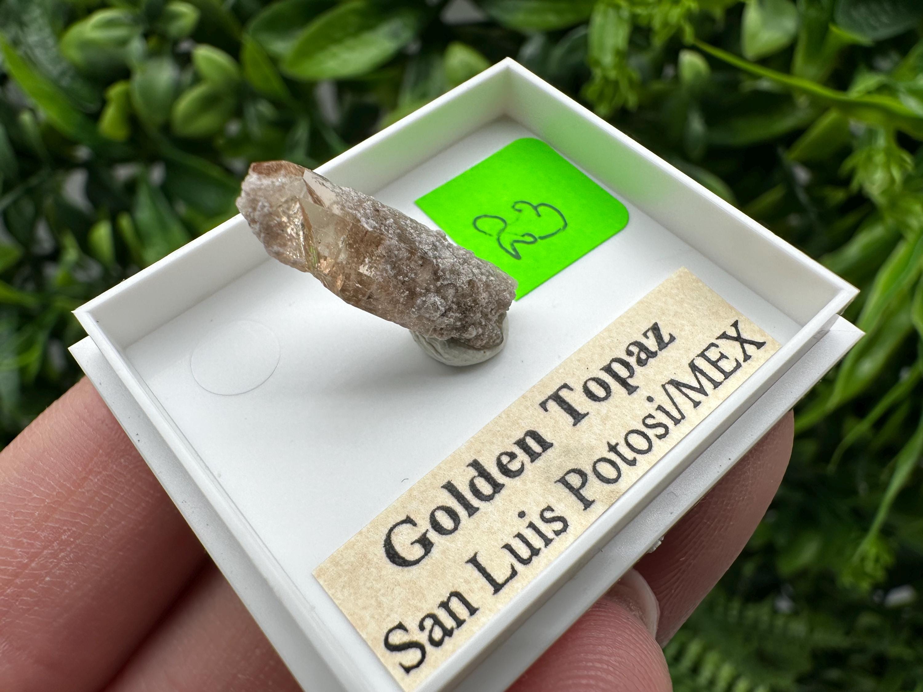 Golden Topaz Crystal, Mineral Specimen from Mexico