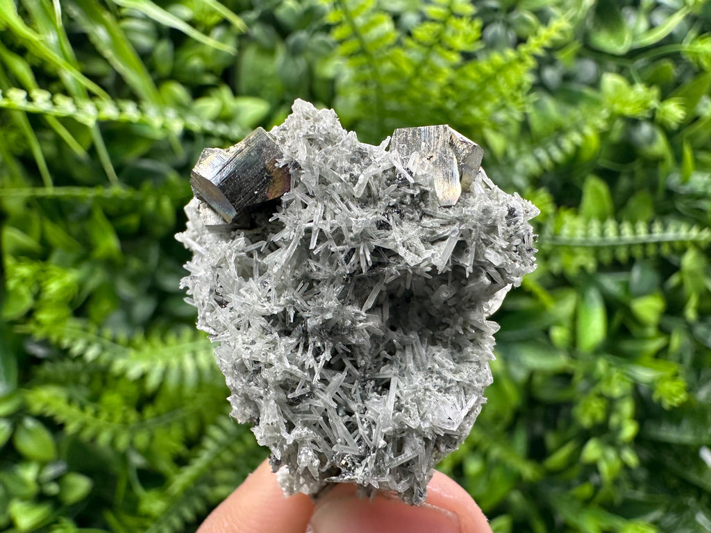 Pyrite on Green Quartz Mineral Specimen, Borieva Mine Crystal