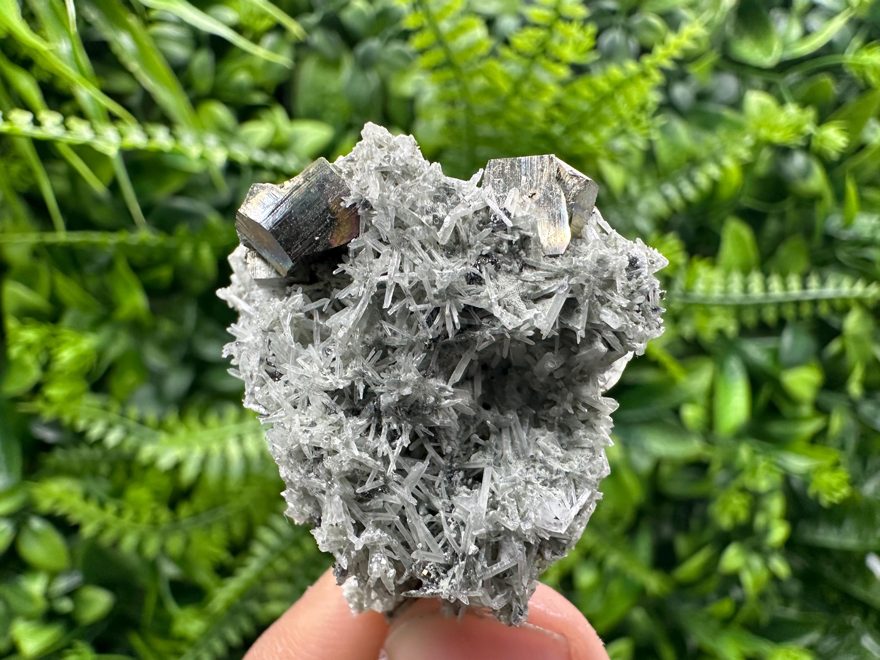 Pyrite on Green Quartz Mineral Specimen, Borieva Mine Crystal