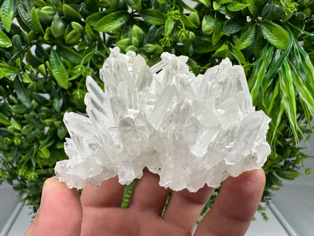 Transparent Quartz Crystal: Djurcovo Mine, Bulgaria