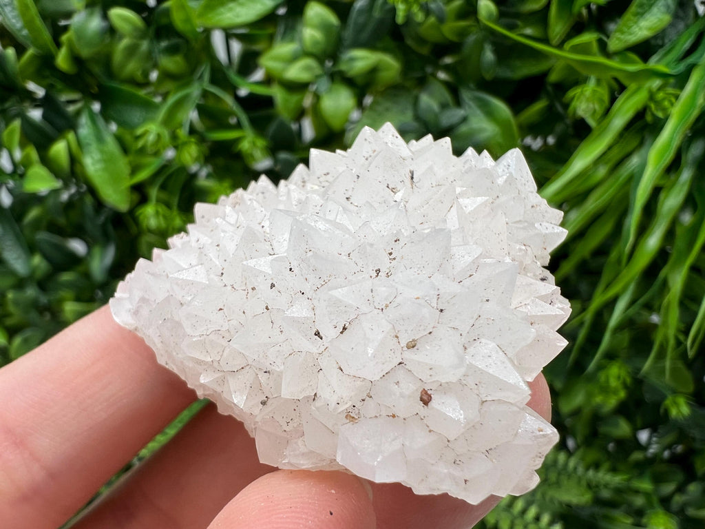 Stunning Transparent Quartz,from Borieva mine,natural collection mineral specimen rare crystal,home decor crystal,quartz cluster,Quartz,gift