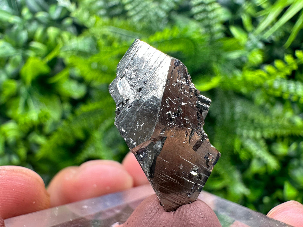 Rare Floating Pyrite Cluster, Borieva Mine, Home Decor Stone